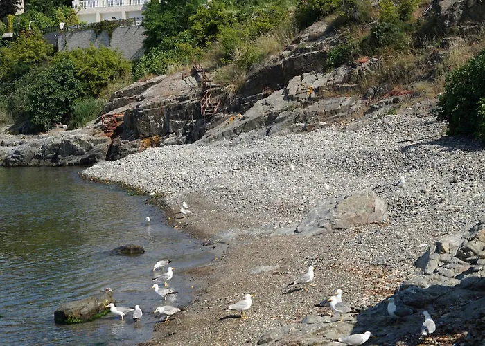 Βίλα Six Bedroom Luxury With Private Pool In Quiet Residential Area Near Beaches Σωζόπολη